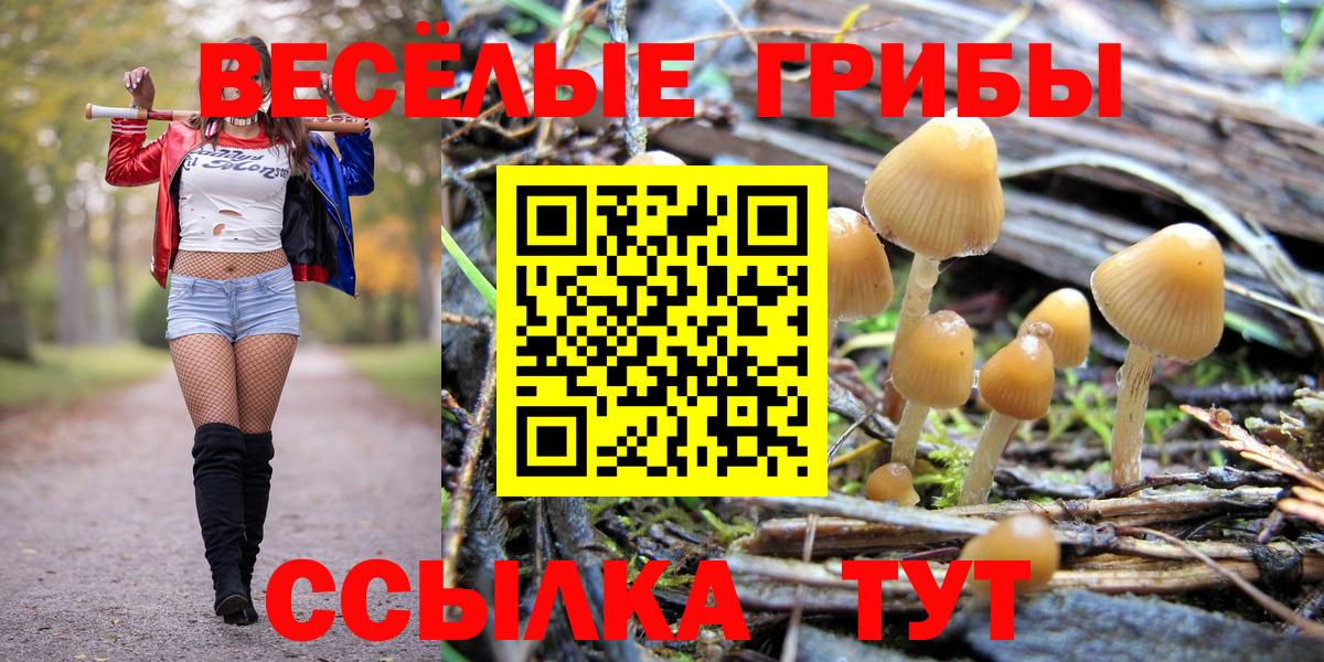 Ишимбай  Галлюциногенные грибы прущие грибы  Вход с VPN 