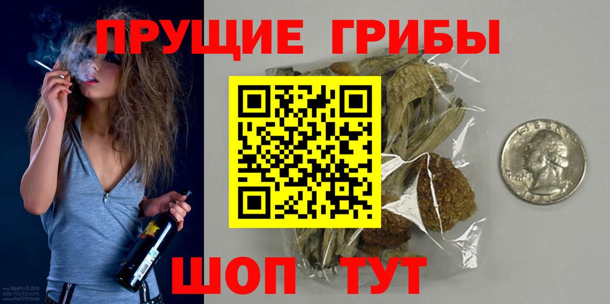 Псилоцибиновые грибы Psilocybe Ишимбай